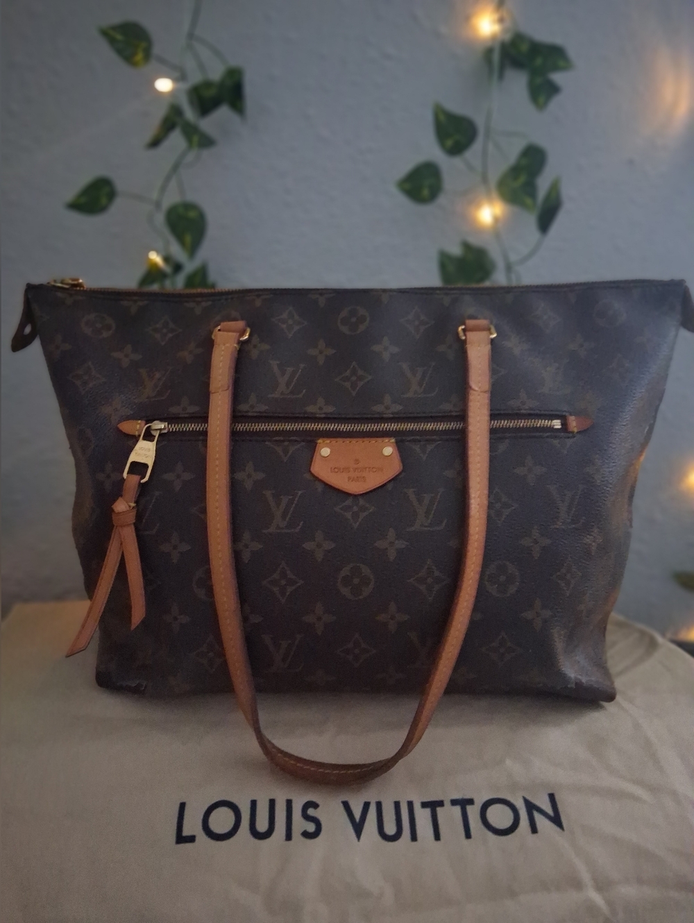 Louis Vuitton Lena MM Tote